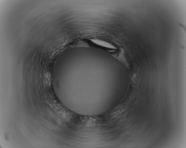 X0000099380772200805221805