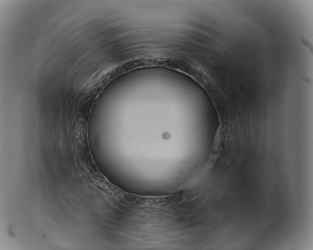 X0000099380773200805221805