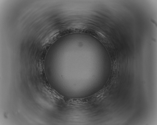 X0000099380774200805221805