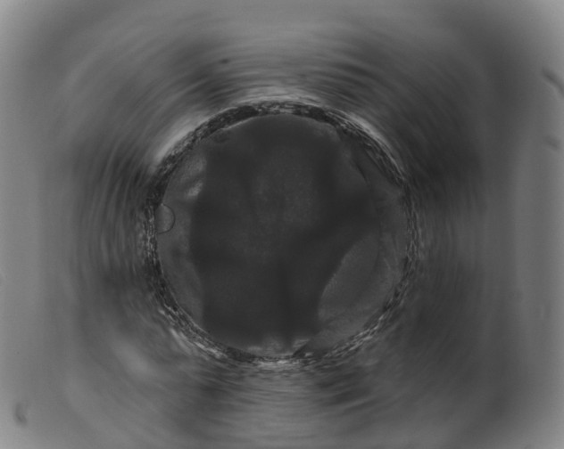 X0000099380775200805221805