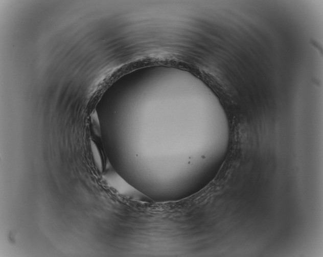 X0000099380776200805221805