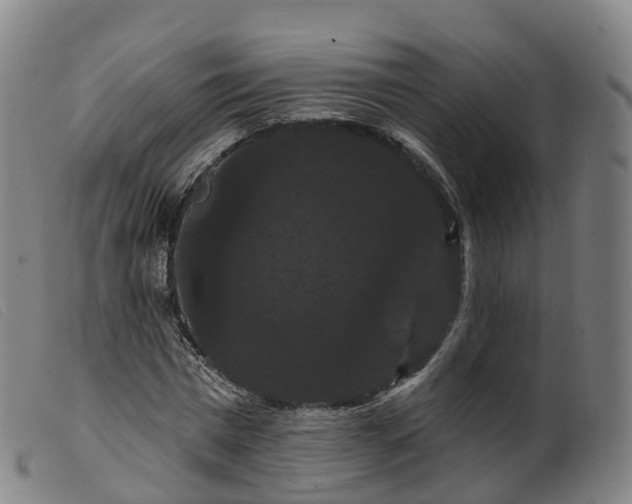 X0000099380777200805221805