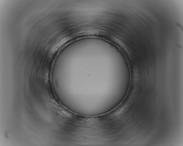 X0000099380778200805221805