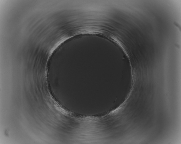 X0000099380779200805221805