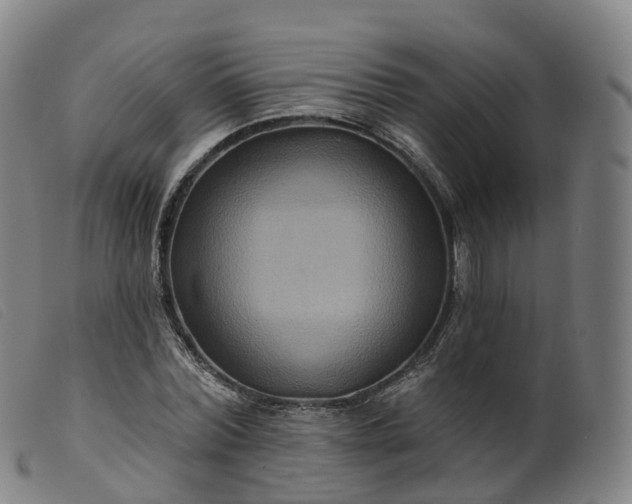 X0000099380780200805221805