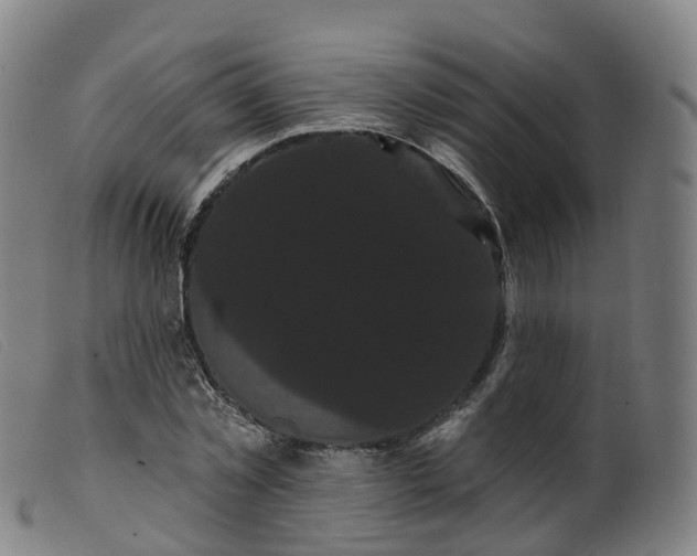 X0000099380781200805221805