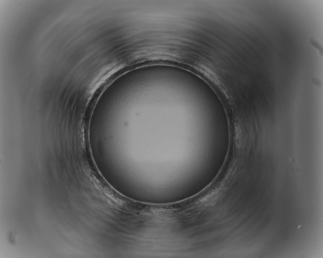 X0000099380782200805221805