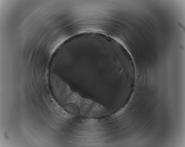 X0000099380783200805221805