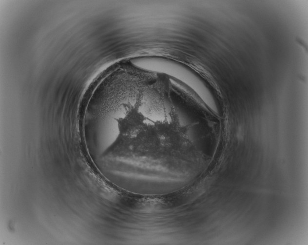 X0000099380784200805221805