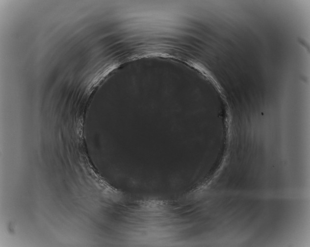 X0000099380785200805221805