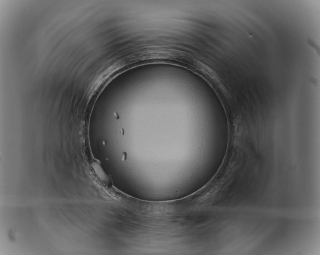 X0000099380786200805221805