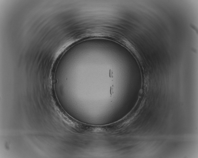 X0000099380787200805221805