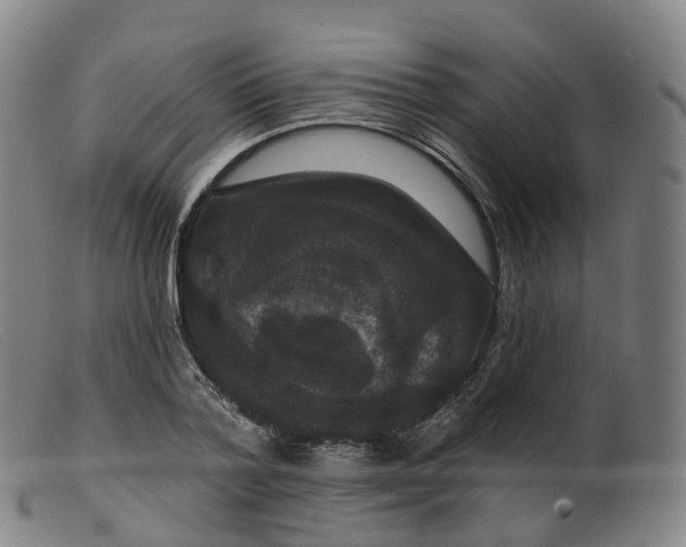 X0000099380788200805221805