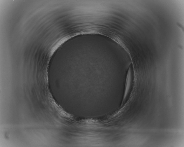 X0000099380789200805221805