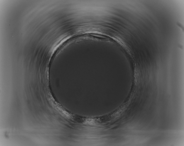 X0000099380790200805221805