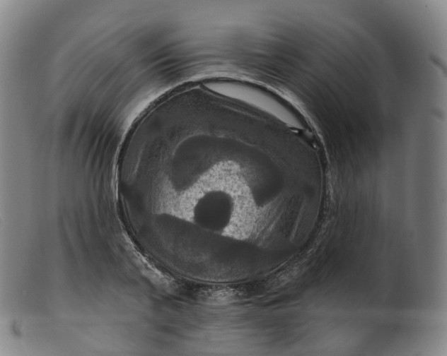 X0000099380791200805221805