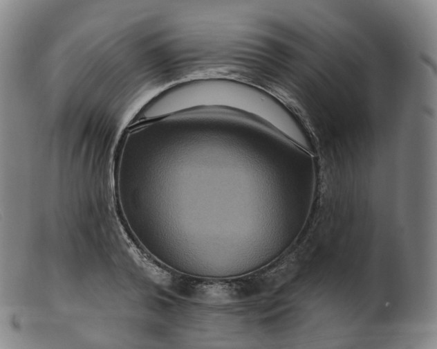 X0000099380792200805221805