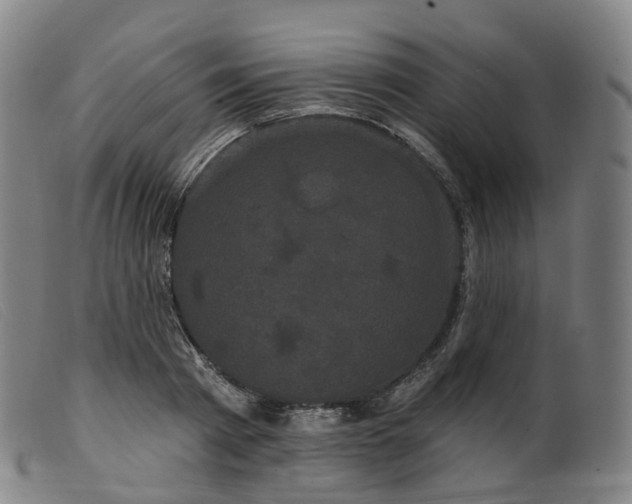 X0000099380793200805221805