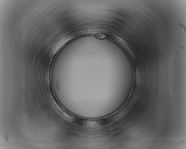 X0000099380794200805221805