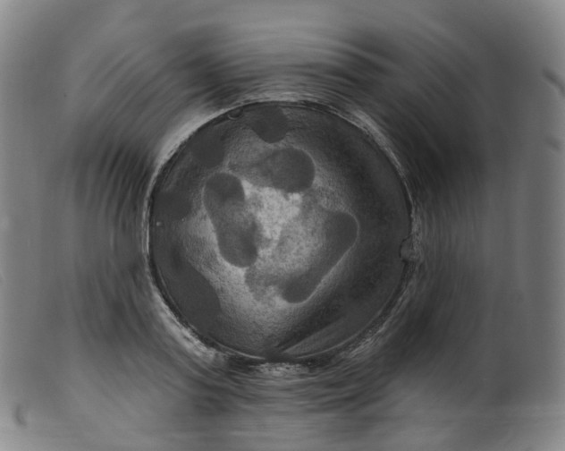 X0000099380795200805221805