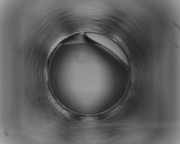 X0000099380796200805221805