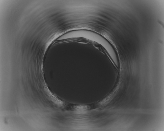 X0000099380797200805221805