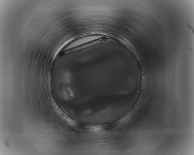 X0000099380798200805221805