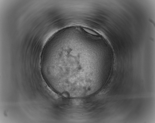 X0000099380799200805221805