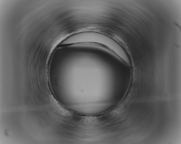 X0000099380800200805221805