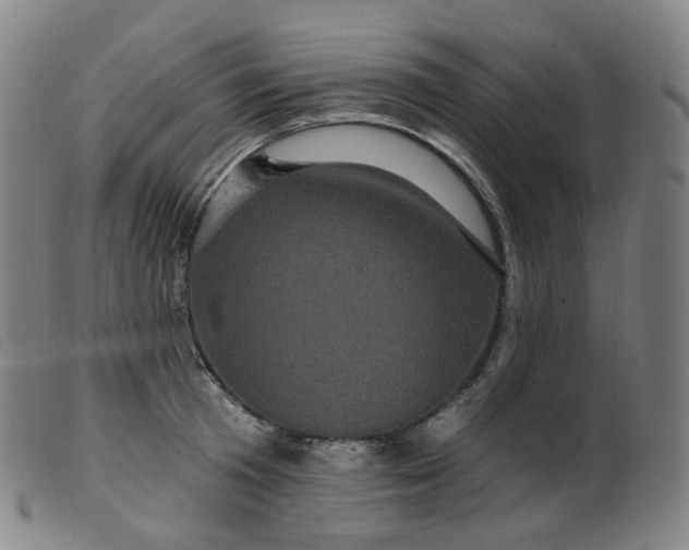 X0000099380801200805221805