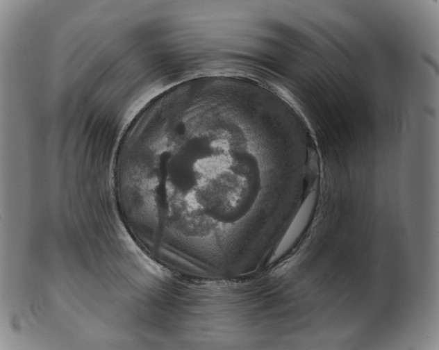 X0000099380803200805221805