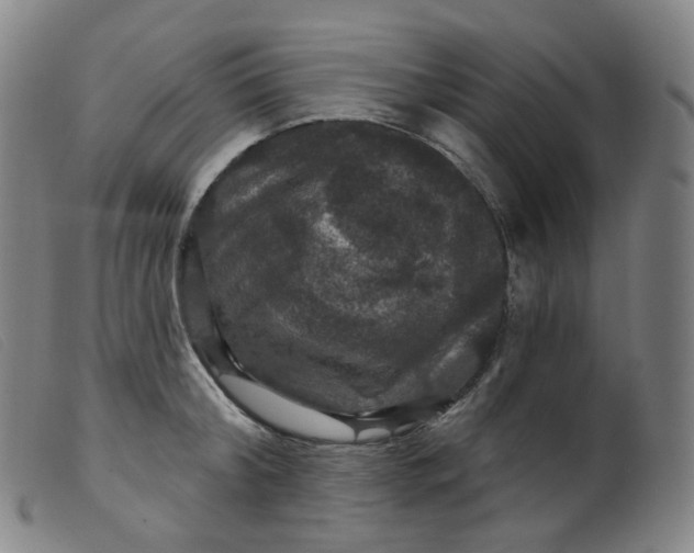 X0000099380804200805221804