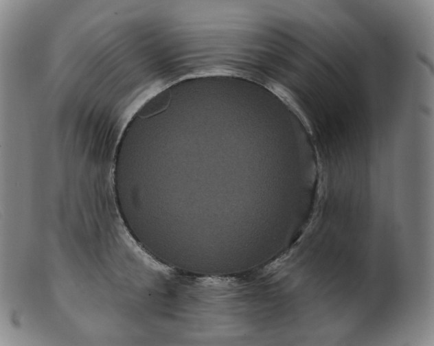 X0000099380805200805221804