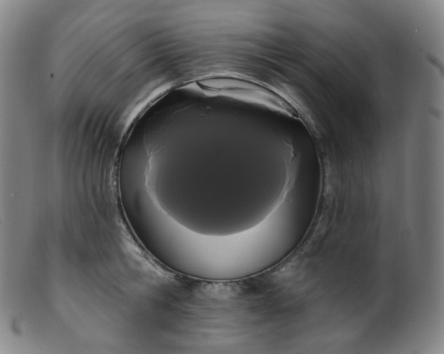 X0000099380806200805221804