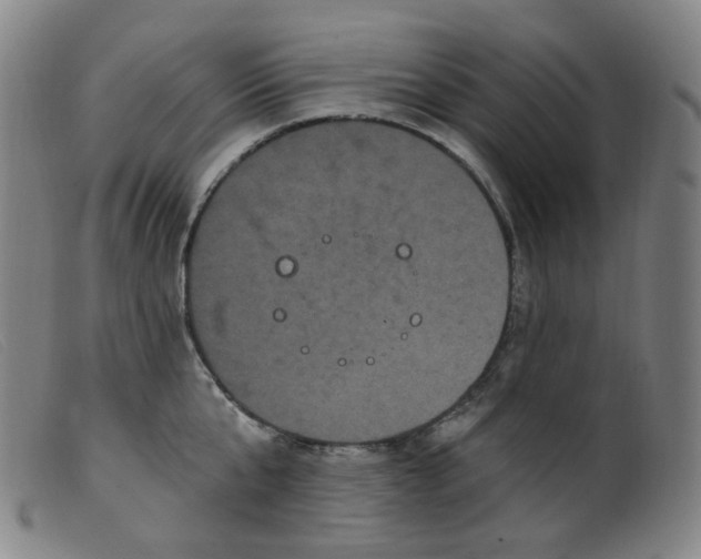 X0000099380807200805221804