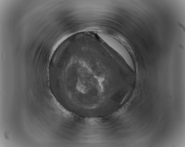 X0000099380808200805221804