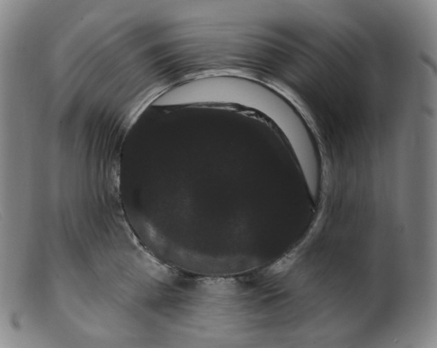 X0000099380809200805221804