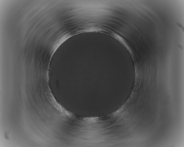 X0000099380810200805221804