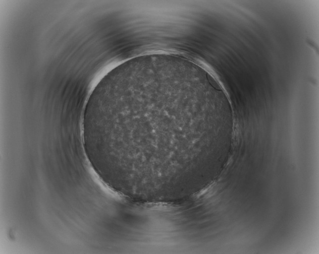 X0000099380811200805221804