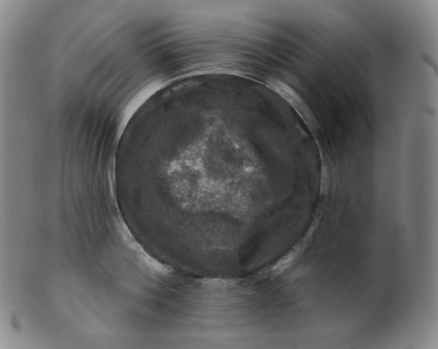 X0000099380812200805221804