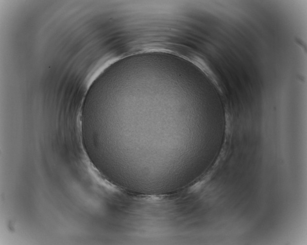 X0000099380814200805221804