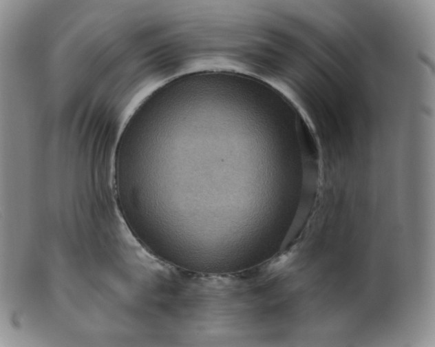 X0000099380815200805221804