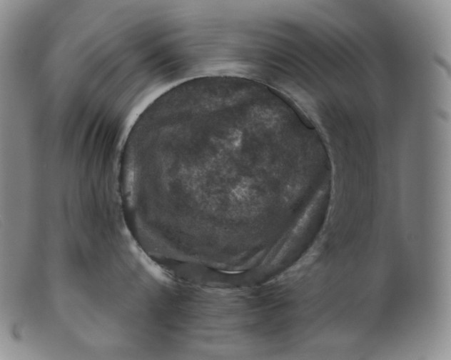 X0000099380816200805221804