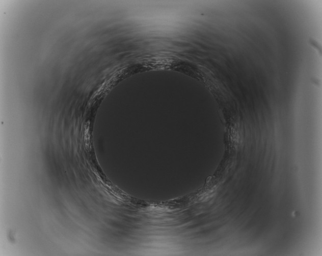 X0000099380818200805221803