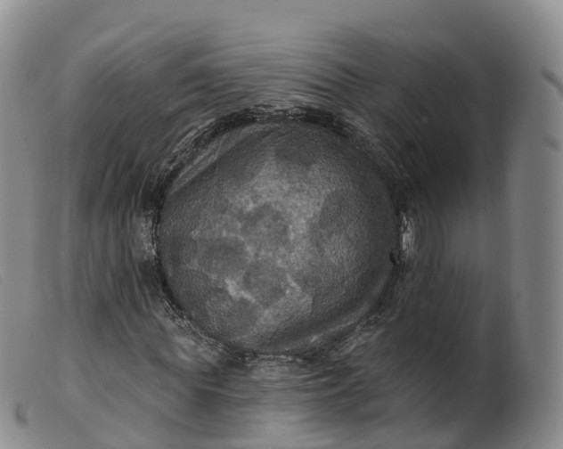 X0000099380819200805221803