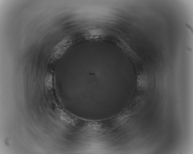 X0000099380820200805221803