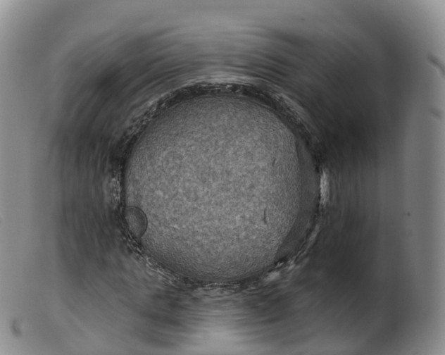 X0000099380821200805221803