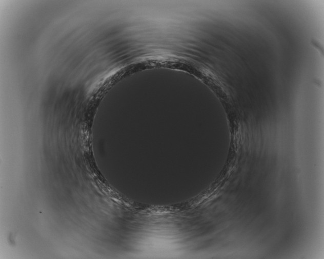 X0000099380822200805221803