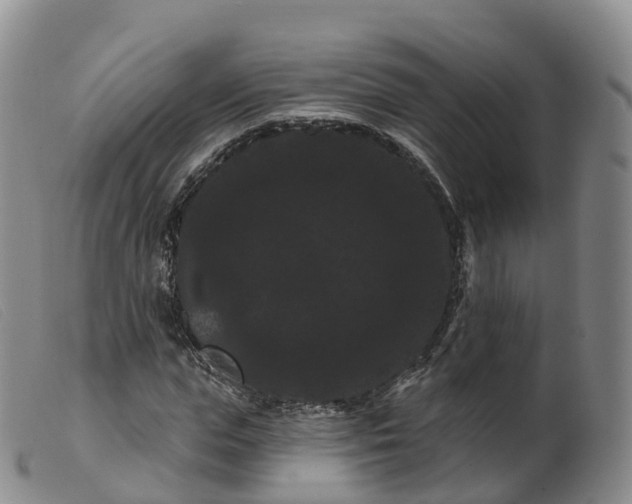 X0000099380823200805221803