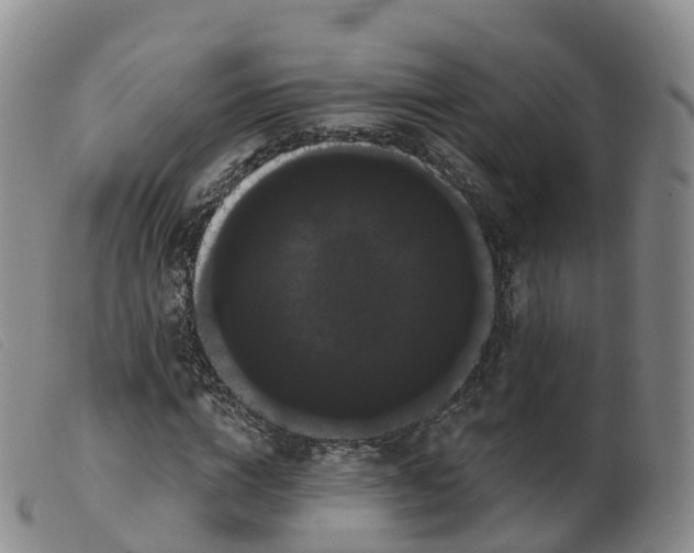 X0000099380824200805221803